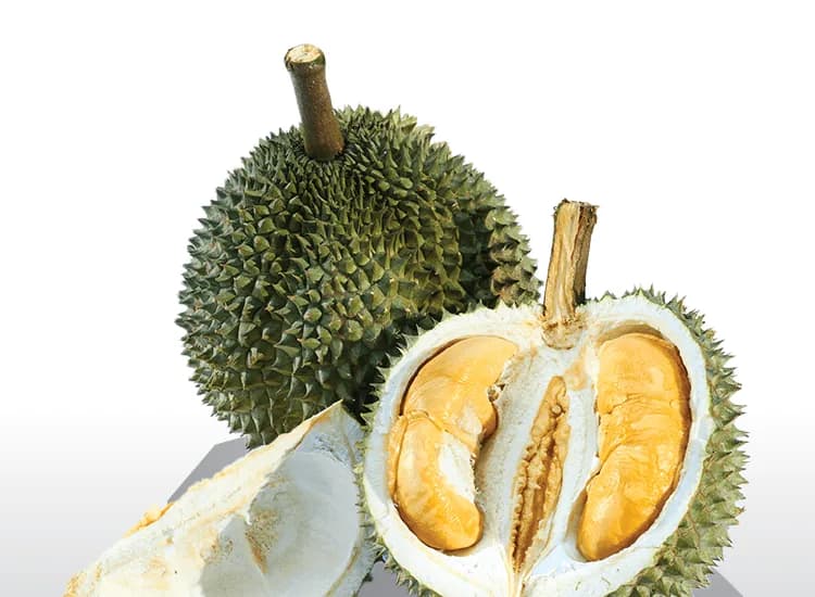 A whole Black Thorn durian beside an opened one with orange-yellow flesh