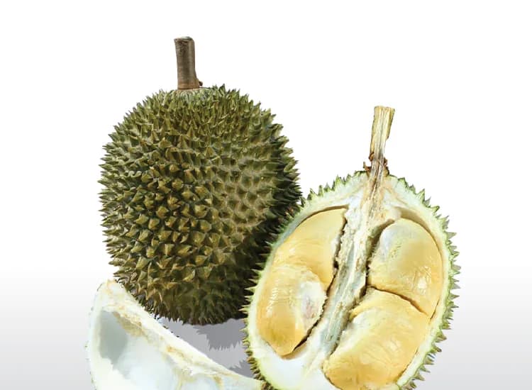 A whole D24 durian beside an opened one with pale yellow flesh