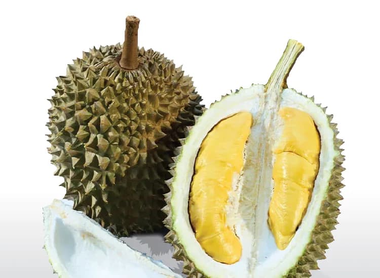 A whole Musang King durian beside an opened one with deep golden flesh