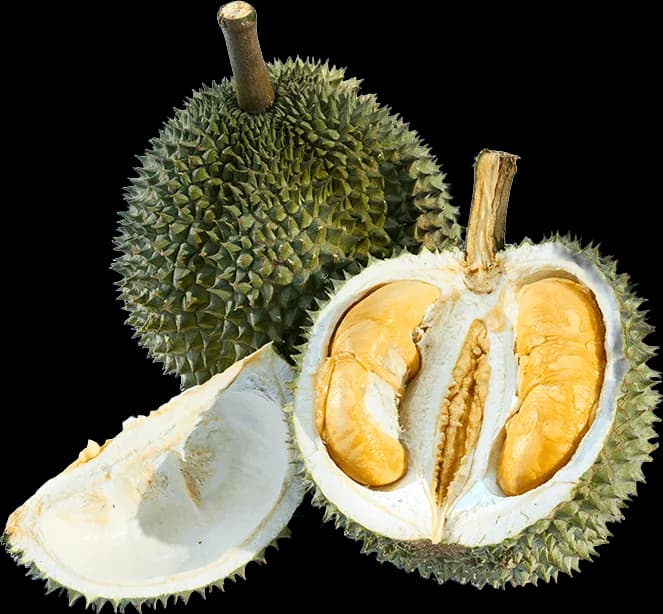 Black Thorn durian, whole and opened