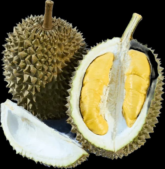 Musang King durian, whole and opened