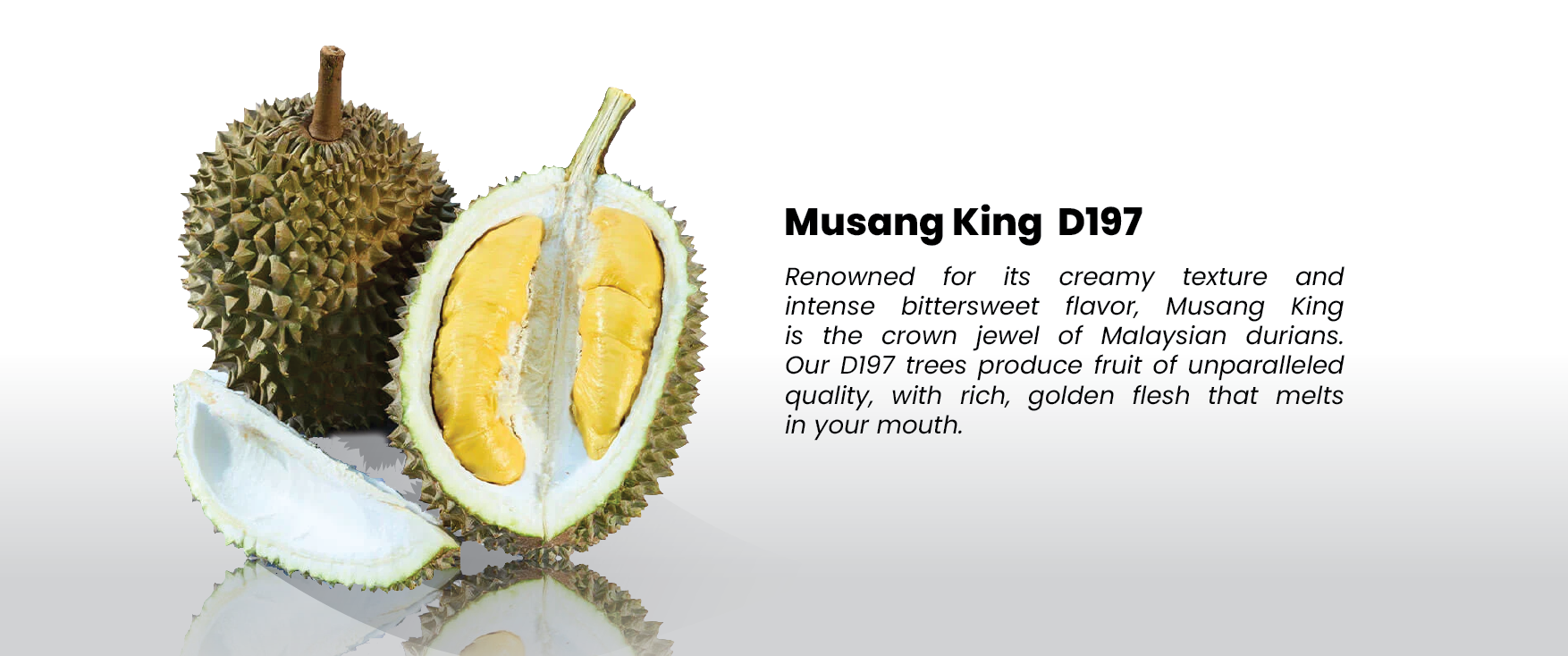 Durian Slide-03